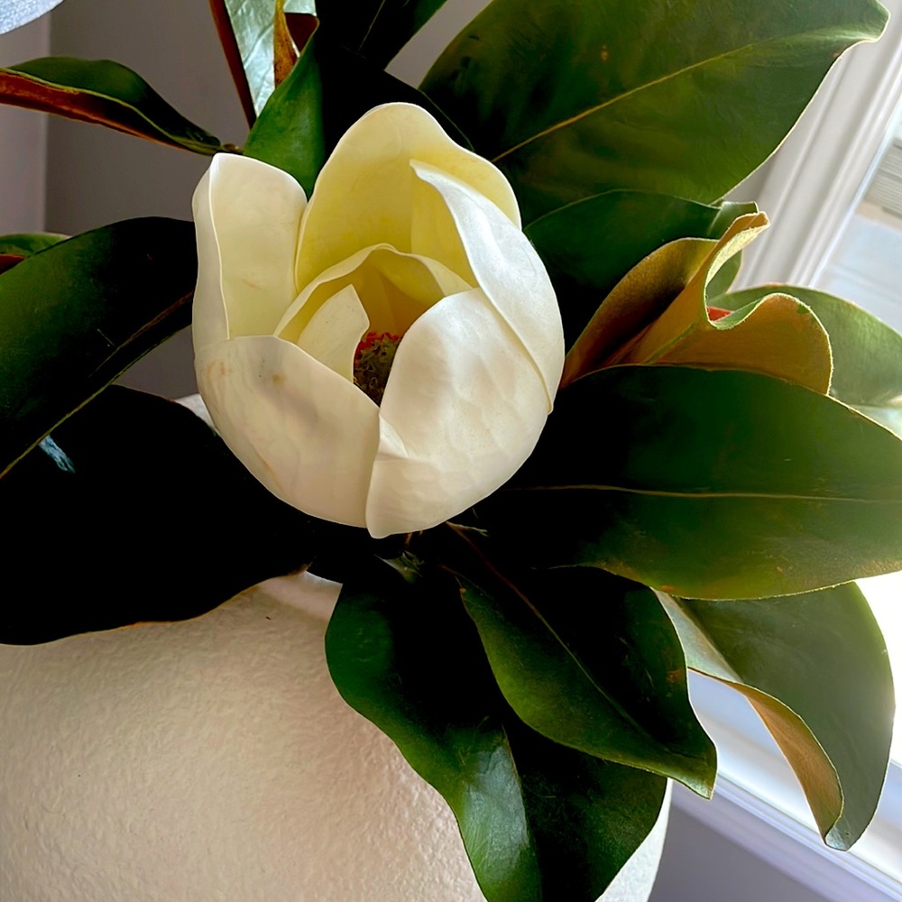 Meet your Posher, Jillian